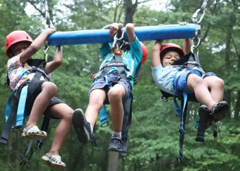 swing